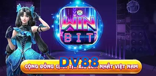 DV88